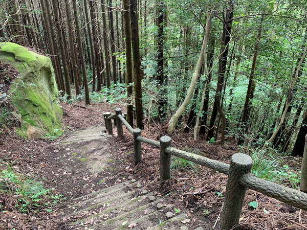 小佐々町でハイキング・森林浴